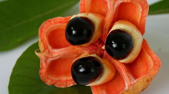 20 Weird And Exotic Fruits