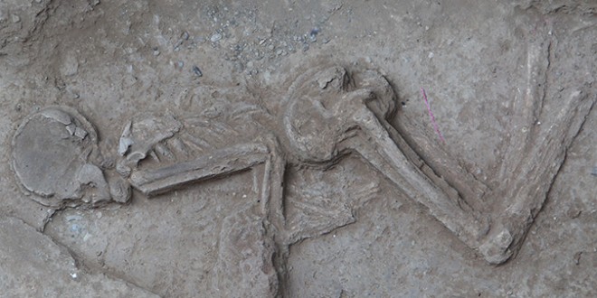 7,000-year-old human skeleton recovered